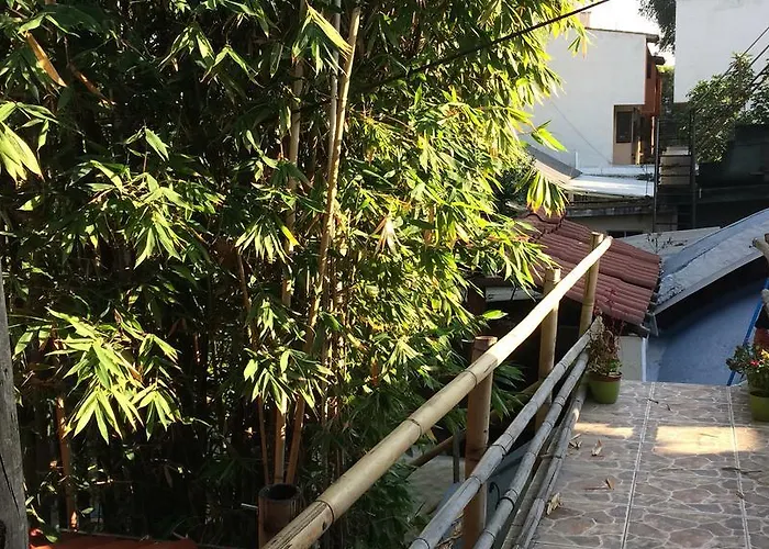 Mi Aldea Holistica México DF