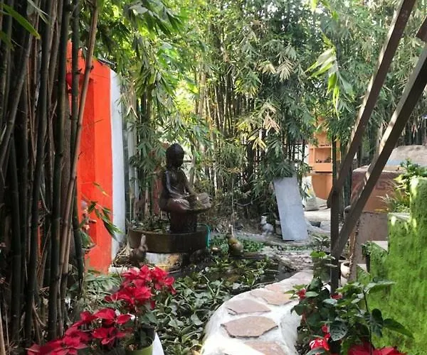 Pensión Mi Aldea Holistica